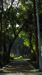 The paths are surrounded by shady trees and plants and make the air cooler