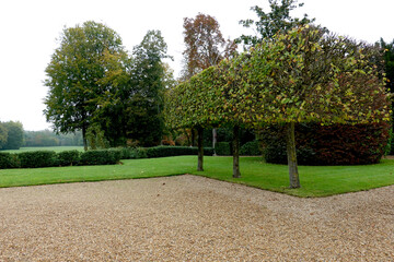 Arbres topiaires dans un parc paysager