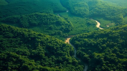 Lush Tropical Rainforest Satellite View - Vibrant Rivers & Canopy