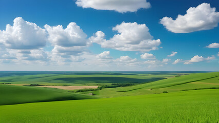 Obraz premium russia summer landscape - green fileds, the blue sky and white c