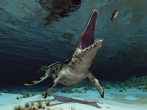 Pliosaurier Kronosaurus auf der Jagd