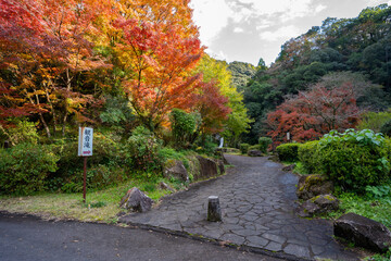 観音滝公園の紅葉の風景（さつま町）