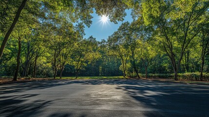 Obraz premium A clear sunny day illuminates a serene empty parking lot surrounded by lush trees