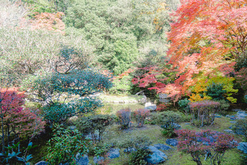 京都の毘沙門堂の紅葉