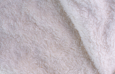 close-up of wool with a fluffy texture, the focus is on the intricate fibers, highlighting its warmth and comfort