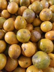 Fresh orange fruit. Orange fruit after harvest