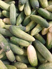 Pile of fresh cucumbers. Fresh cucumbers ready to be processed. Fresh cucumbers in the store