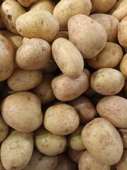 Pile of potatoes. Potatoes after harvest. Potatoes in the store