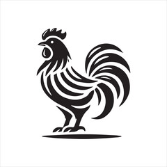rooster isolated on white background