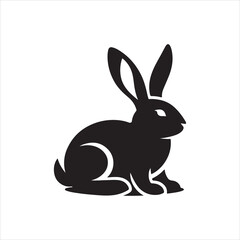 white rabbit isolated on white