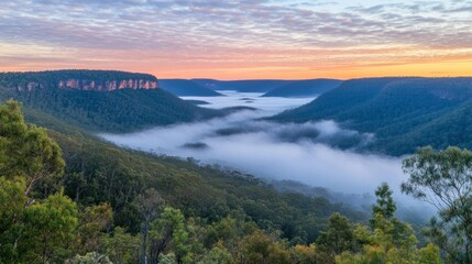 Majestic Sunrise Valley Mist Enveloping Green Mountains