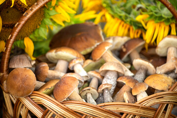 A basket with different types of wild mushrooms and sunflowers.
