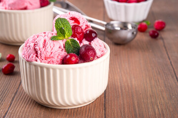 Homemade cranberry ice cream, creamy winter berry gelato with fresh cranberry and mint sprig in ceramic bowl