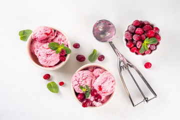 Homemade cranberry ice cream, creamy winter berry gelato with fresh cranberry and mint sprig in ceramic bowl