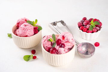 Homemade cranberry ice cream, creamy winter berry gelato with fresh cranberry and mint sprig in ceramic bowl