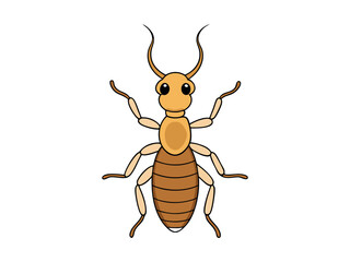 Fototapeta premium cockroach isolated