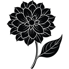 Dahlia flower vector silhouette illustration.