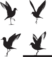 Bird Silhouette Vector Set – Elegant Flying and Standing Bird Designs