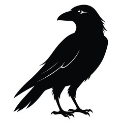 raven-bird-silhouette-on-white-background (11).eps