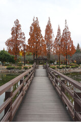 곧게 뻗어 오르는 공원 산책로