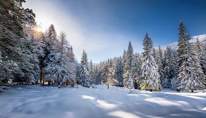 Fototapeta premium scenery of winter snow pine forest landscape ai generative