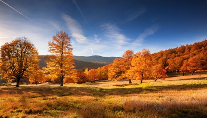 autumn landscape with trees