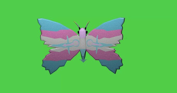 Beautiful 4K Transgender Pride Flag Flying Butterfly Animation Isolated Green Screen Background Trans Masculine / Feminine Non-Binary Gender Identity Gender Expression Awareness