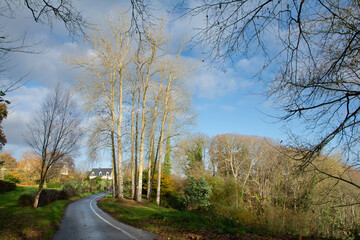 Paysage de campagne autour de Tréguier en Bretagne