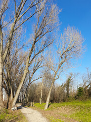 Discarica abusiva nel parco naturale - maleducazione