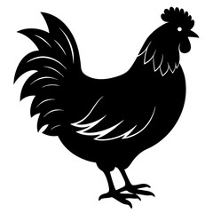 rooster isolated on white