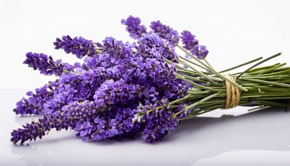Fototapeta premium bunch of lavender isolated on white background