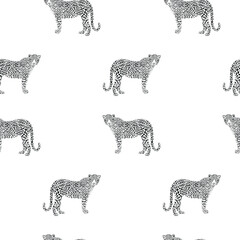 Black and white seamless pattern with leopards