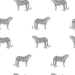 Black and white seamless pattern with leopards