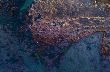 Aerial View of Rocky Coastline on Vancouver Island, British Columbia, Canada
