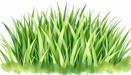 Obraz premium Lush green grass illustration, perfect for spring designs.