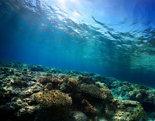 Obraz premium underwater view of sea