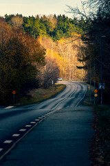 Turn of asphalt road against autumn forest background