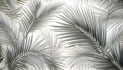 Obraz premium Elegant Seamless Palm Frond Pattern with Subtle Green Tones on White Background