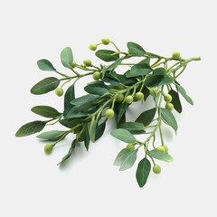 Fresh Green Olive Branch with Leaves and Berries, Decorative Natural Elements for Floral Arrangements and Home Decor, Rustic and Organic Design Inspiration