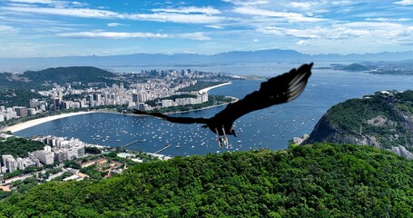 Fototapeta premium Panning wide view of downtown city of Rio de Janeiro Brazil. Tourism landmark. Offices buildings exterior and harbor zone near Guanabara bay. 