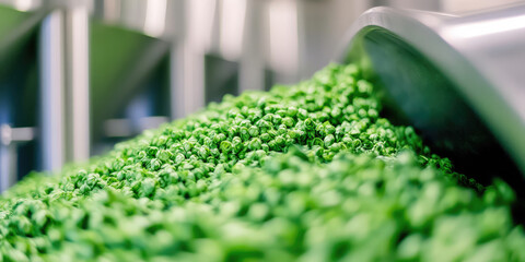 Green hops for beer, texture. Craft beer ingredients at a brewery