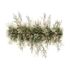 Naklejka premium The group flowers and low shrubs for landscaping. Garden bushes isolated on transparent background