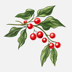 Bright Red Berries with Green Leaves on Branches in a Vibrant Illustrated Style for Nature Inspired Designs or Backgrounds