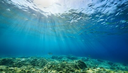 Fototapeta premium underwater scene with soft natural sunlight filtering through clear blue water creating a serene and tranquil atmosphere