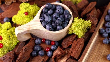 Wooden scoop filled with fresh blueberries placed among yellow moss, red berries, and brown bark pieces evokes natural eco-friendly atmosphere, emphasizing eco berries product, forest vibe concept.