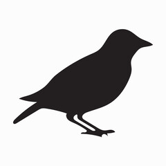 Flying birds silhouettes on white background. Vector illustration. isolated bird flying. tattoo design.
