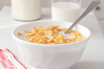 Milk whith cereals in a white ceramic bowl with a spoon and blurred background.