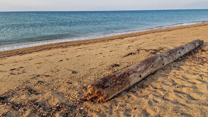 Beach in the morning