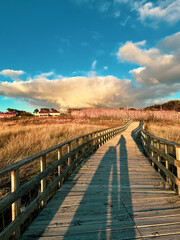 Fototapeta premium Beautiful road near beach in sunset