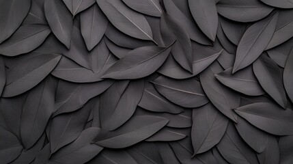 Obraz premium Textured Black Leaves in Artistic Arrangement on Dark Background